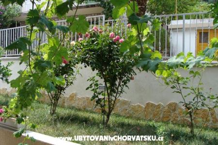 Apartmaji Grgantov foto 3