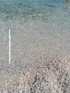 Apartmaji Kvesić foto 5