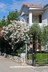 Apartmaji Ruža foto 2