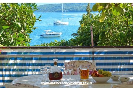 Lozovina Trogir Hrvaška