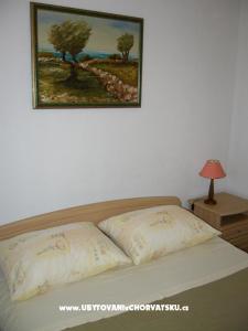 Maslinov dvor foto 2
