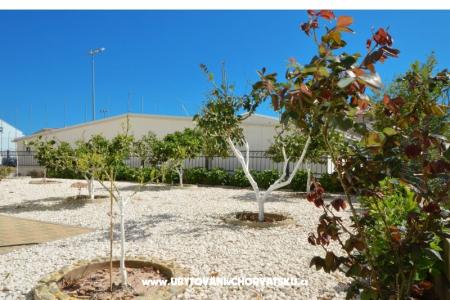 Simba Apartmaji foto 3