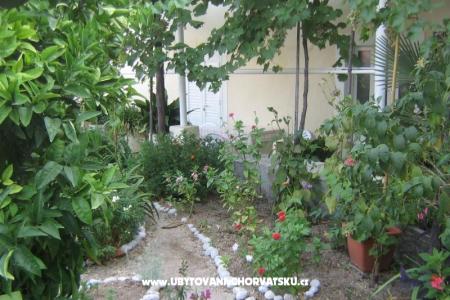 Počitniški dom Villa Marija foto 4
