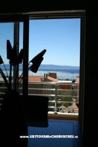 Apartmaji Antonio foto 2