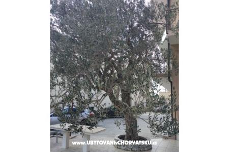 Apartmaji Mena foto 4