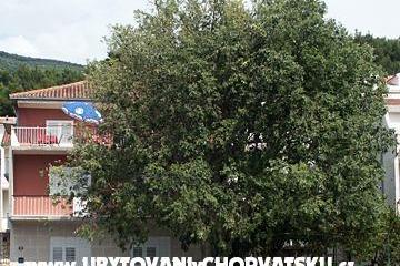 Apartmaji Maja Sevelj foto 2