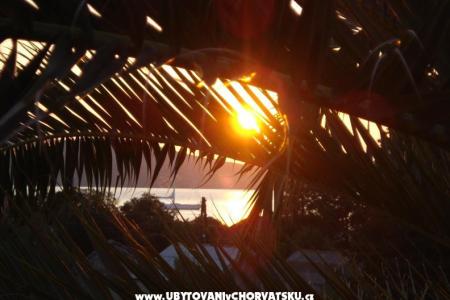 Apartmaji Branko Vidaković foto 4
