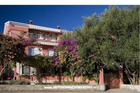 Apartmaji Budi otok Ugljan Hrvaška