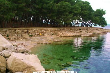 Apartmaji Luce foto 2