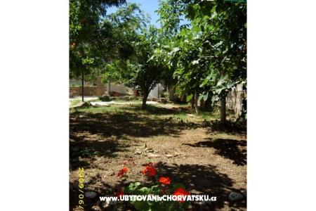 Počitniški dom Villa Jadran foto 5