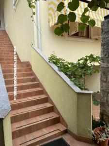 Apartmaji Maris  foto 3