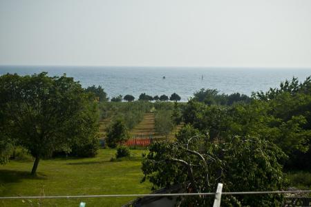 Apartmaji Paradinovic foto 2
