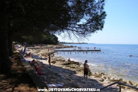 Apartmaji San Pelegrin Umag Hrvaška