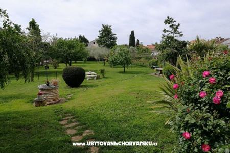 Apartmaji Jana foto 2