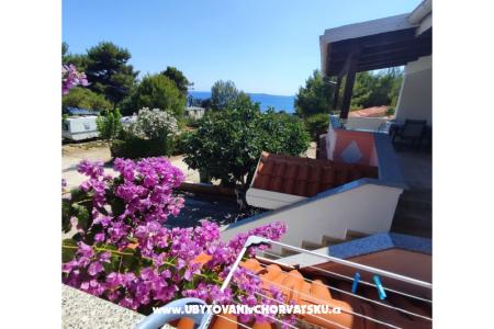 Apartmaji Delfin otok Vir Hrvaška