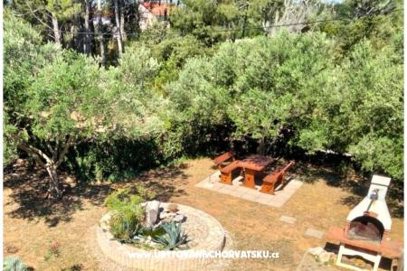 Apartmaji Budija / Viola foto 3