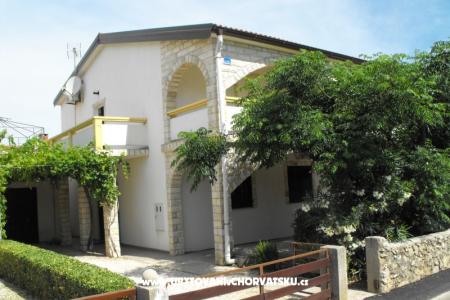 Apartmaji Golobic otok Vir Hrvaška