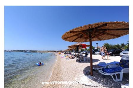 Apartmaji Lavanda Centar otok Vir Hrvaška