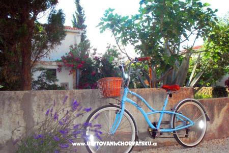 Apartmaji Peašinović foto 5
