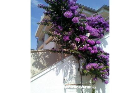 Apartmaji Galunić foto 2