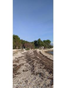 Apartmaji Traum otok Vir Hrvaška
