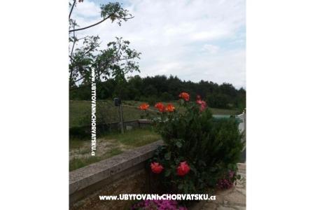 Apartmaji Vlašić foto 5