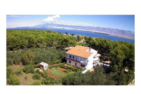 Apartmaji Liveric otok Vir Hrvaška