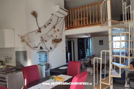 Studio apartman "Zara" otok Vir Hrvaška