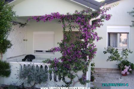 Apartma Zrna foto 3
