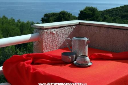 Apartmaji Janković Vis foto 2