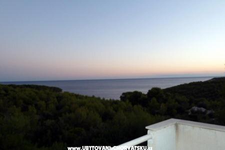 Apartmaji Janković Vis foto 3