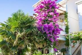 Apartma Gita -Ston Hiša foto 2