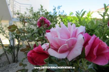 Apartmaji Kokor foto 4