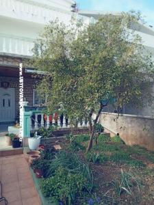 Apartmaji Marijana Alaga foto 3
