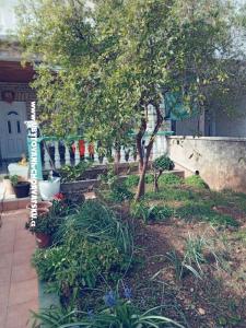 Apartmaji Marijana Alaga foto 4