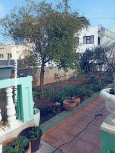 Apartmaji Marijana Alaga foto 5