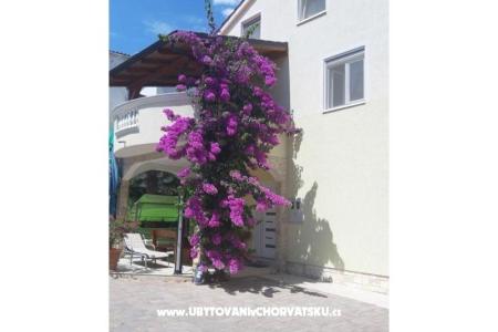 Apartmaji  Vesna  foto 2