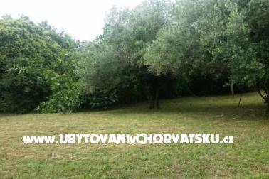 Apartmaji Rakovac Vrsar foto 4