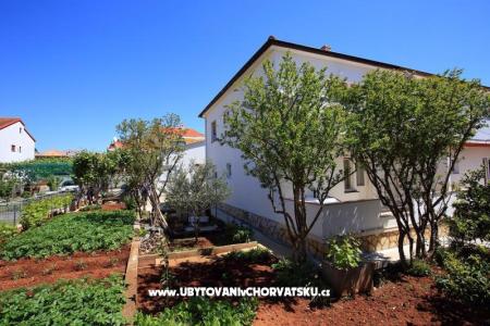 Apartma Josip foto 2