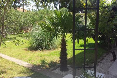 Apartma Korina foto 2