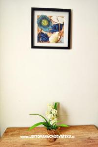 Apartma Luna foto 5