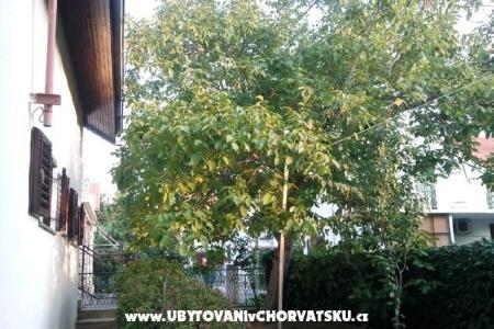 Apartma Karin foto 5