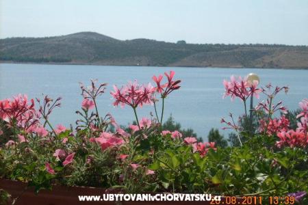 Apartmaji Lora foto 4