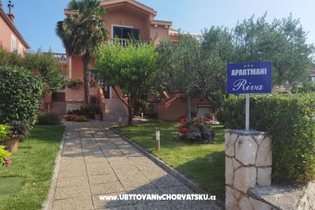 Apartmaji Riva Zadar Hrvaška