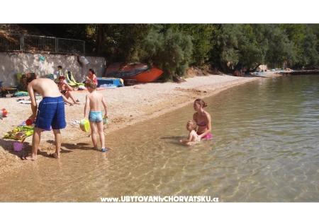 Apartmaji Vuk foto 2