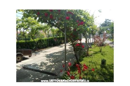 Apartma Tina foto 2