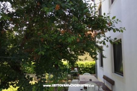 Apartma Tina foto 3