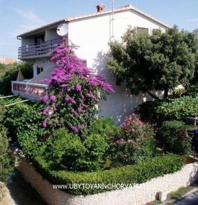 Villa IBIS Zadar Hrvaška