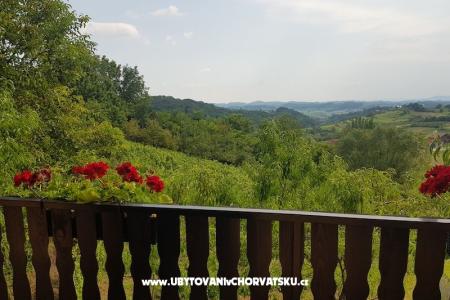 Apartmaji Potočki foto 5