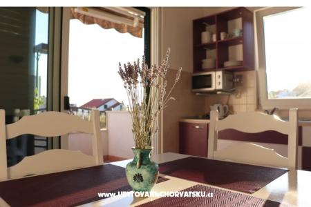 Apartmaji Anita foto 5